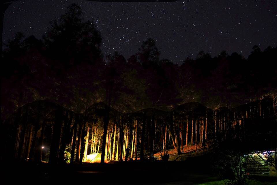 NO。1 讓光透進來